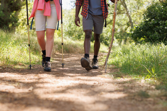 Low section of diverse couple in shorts, one with walking poles, walking in sunny forest, copy space