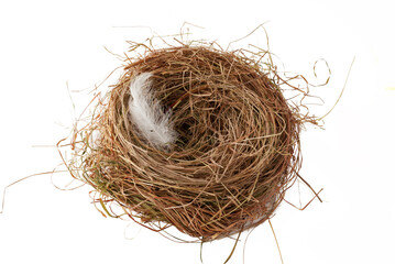 Image of nest and feather on background