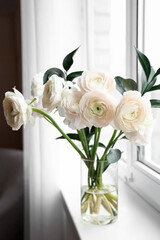 Vase with ranunculus flowers on windowsill in room, closeup
