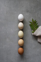 Minimalist Easter eggs. Nature colors gradient eggs on a gray background. A chicken egg as a valuable nutritious product. Top view flat lay