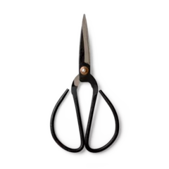 Fotobehang Bonsai Traditional style black steel bonsai garden shears scissors isolated on a transparent background, PNG. High resolution.  © PrimeMockup