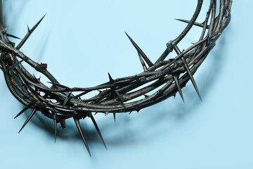 Crown of thorns on blue background, closeup