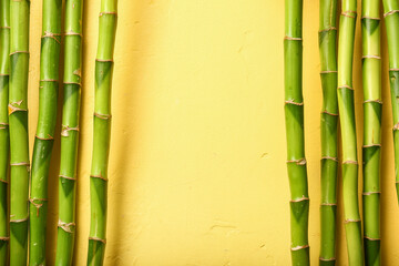 Bamboo branches on yellow background