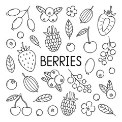 Berries doodle set. Strawberries, raspberries, gooseberry, blueberries, cherry,  blackberries in sketch style.  Vector illustration isolated on white background.