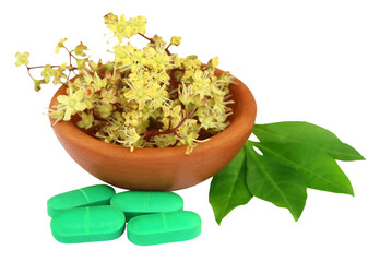Henna leaves with flower and tablets