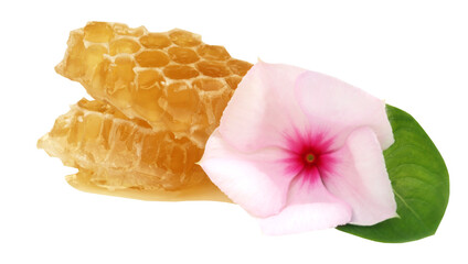 Honey comb with medicinal Nayantara