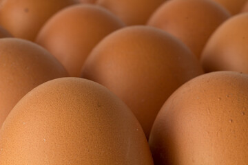 Huevos