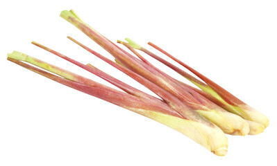 Pink lemongrass