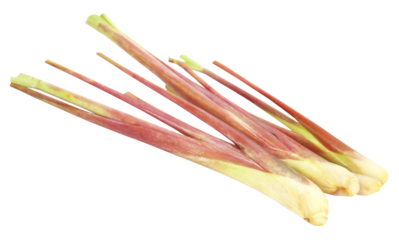 Pink lemongrass