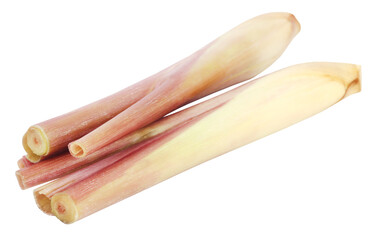 Pink lemongrass