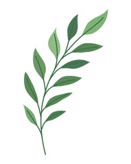 beautiful leaves design