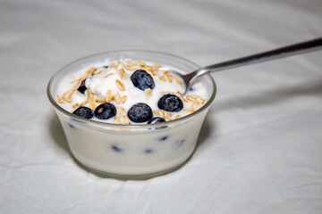 Natural yogurt with blue berries, oat flakes and honey. healthy natural probiotic
