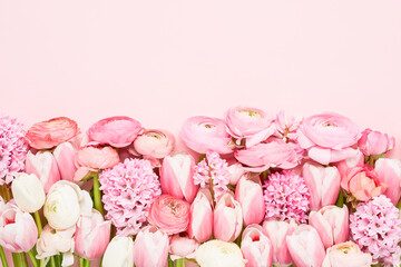 Pink spring flowers on a pink background. Mothers Day, Valentines Day, birthday concept