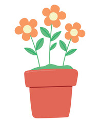 cute orange flowers