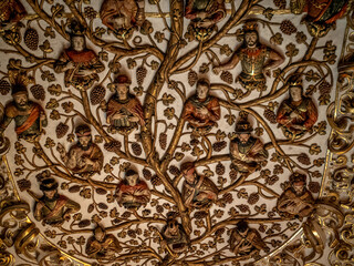 Historic tree of life