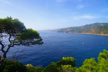 Fototapeta na wymiar view of the typical landscape of Costa Brava with cliffs at the sea that gives its name, 