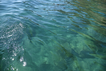 Obraz premium cruise toward a blue cave, Hakodate, Hokkaido 