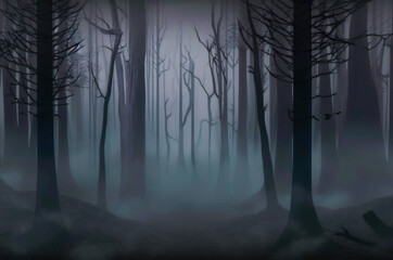 Obraz premium misty morning in the forest,fog in the forest,background with forest