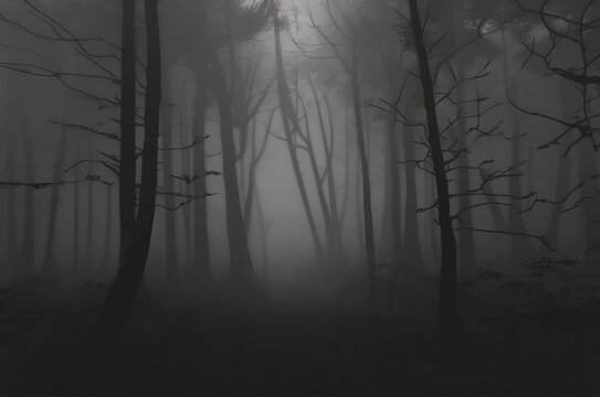 misty morning in the forest,fog in the forest,background with forest