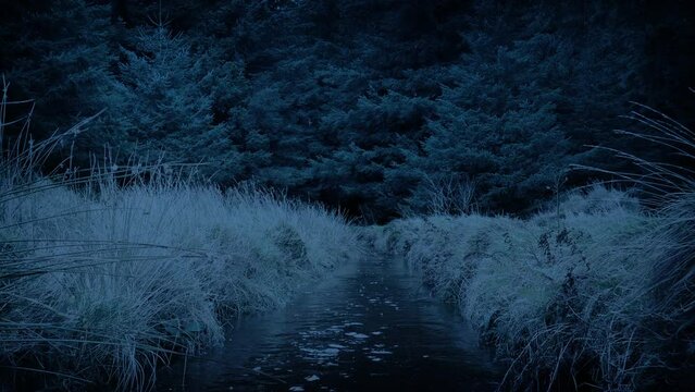 Stream Through The Forest At Dusk