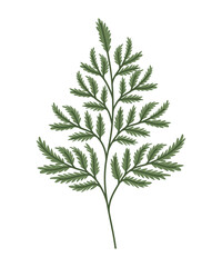 Fototapeta premium green leaves illustration