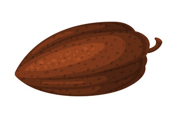 Dried cocoa bean. Chocolate dessert, drinks and pastry food ingredient cartoon vector illustration
