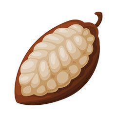 Chocolate cocoa bean. Chocolate dessert, sweets, drinks and pastry food ingredient cartoon vector illustration