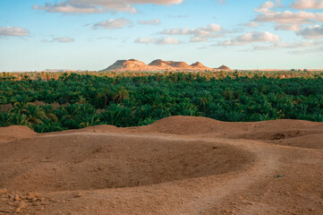 View of the Siwa Oasis in Egypt during Dusk