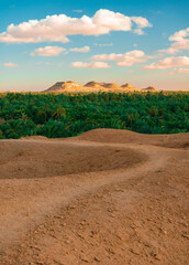 View of the Siwa Oasis in Egypt during Dusk