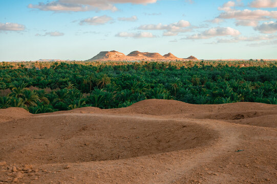 View of the Siwa Oasis in Egypt during Dusk
