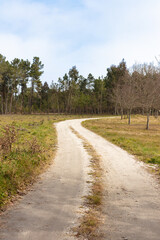 Fototapeta na wymiar Rural empty road in Viseu, Portugal