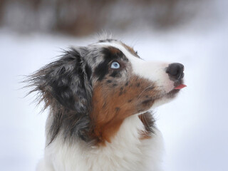 Ui, eine Schneeflocke!