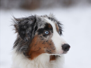 So blaue Augen...