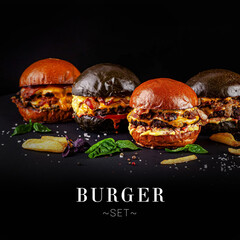 Set of different burgers with white and black bun. Set with French fries and basil leaves. Cheesy...