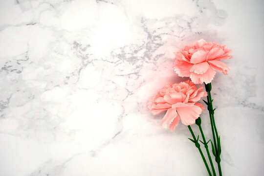 Mother's Day carnation (marble background)