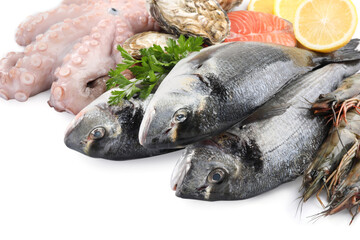 Fresh dorado fish, octopus, shrimps, oysters and salmon on white background, closeup