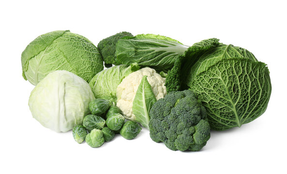 Many different fresh ripe cabbages on white background