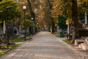 View of cemetery with granite tombstones and paved footpath on sunny day. Funeral ceremony