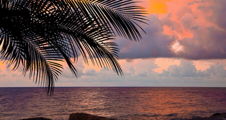 Picturesque view of sea and palm tree at sunset