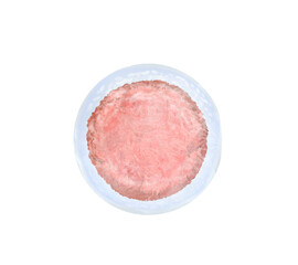 Ovum (egg cell) on white background, illustration