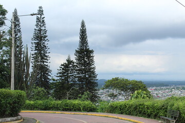 HORIZONTE Y PINOS