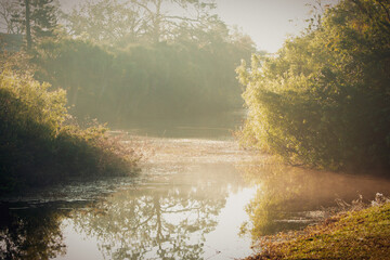 Obraz premium Florida Wildlife Lake 