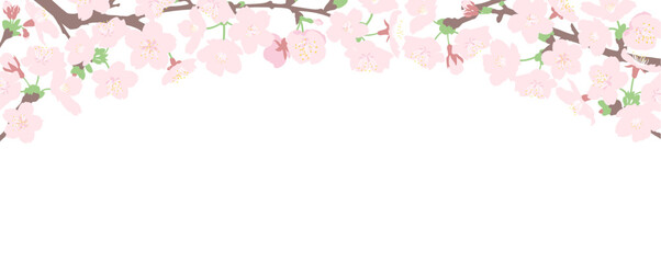 Obraz na płótnie Canvas 桜の花のトンネルのシンプルな横長バナー、ヘッダーデザイン