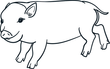 Vintage hand drawn baby piglet
