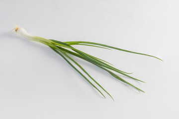 spring onion isolated on white background