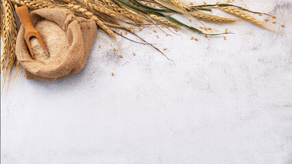 Wheat ears and wheat grains set up on white stone background. - 576893563