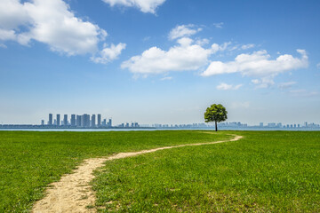The grass and the city in shanghai, China