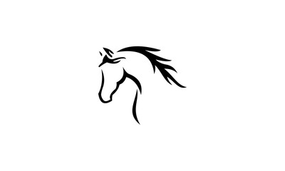 Obraz na płótnie Canvas horse head vector