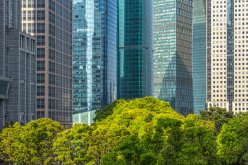 modern office building with green trees.