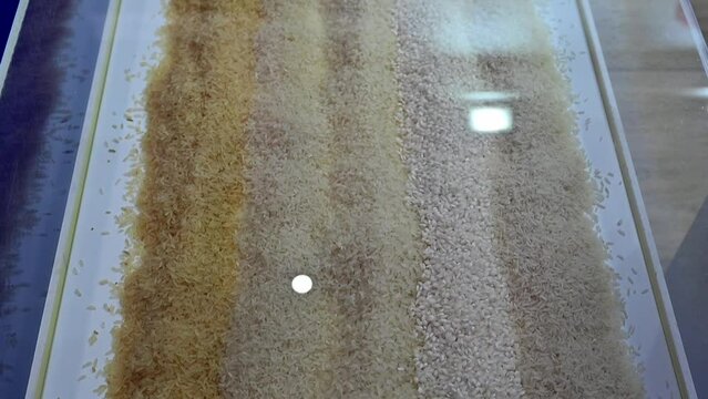 Different type of rice displayed during the Gulf Food Exhibition in the United Arab Emirates.